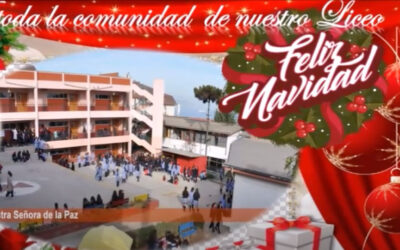 Frutos de Navidad como Comunidad