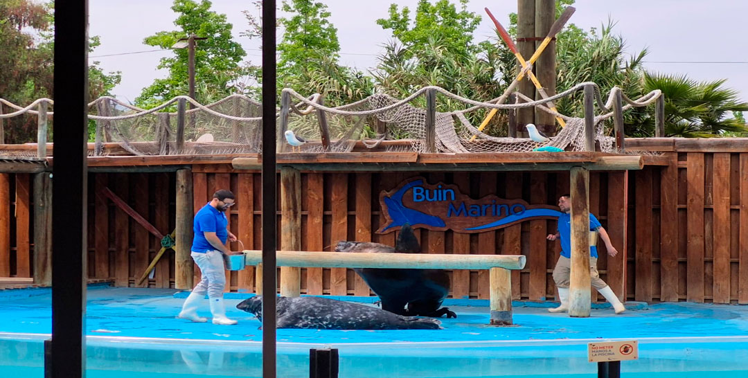 ¡Conciencia Ecológica en Acción! 5° Básico A y B Visitó el Buin Zoo